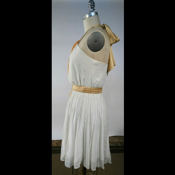 Sm BCBGeneration Greecian Goddess Chiffon Dress - Picture 3 of 6